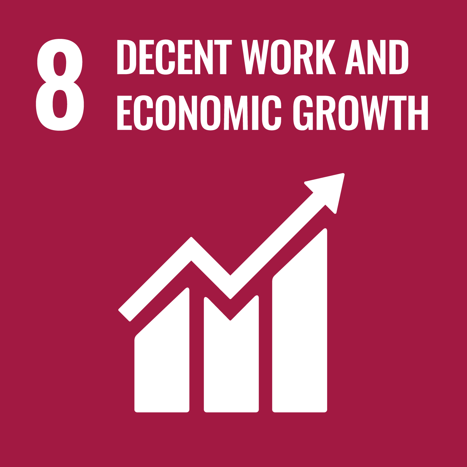 SDG 8 Decent Work and Growth