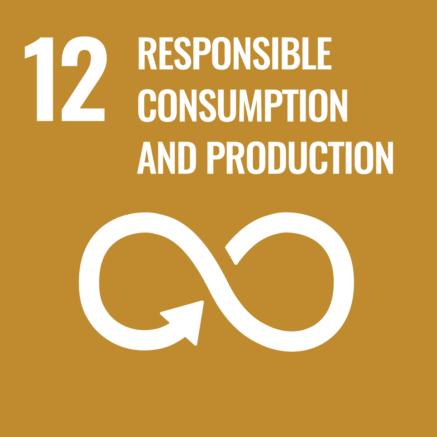 SDG 12 Responsible Consumption